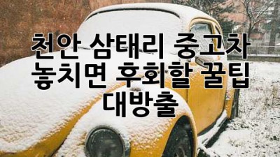천안 삼태리 중고차, 놓치면 후회할 꿀팁 대방출! 🚗💨